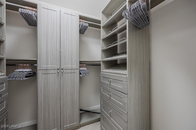 view of spacious closet