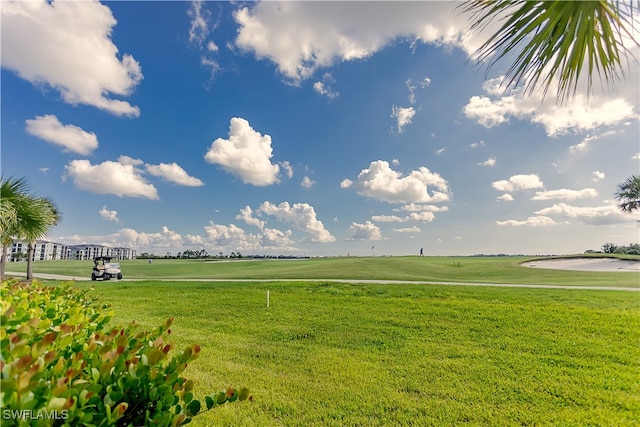 view of community featuring a lawn