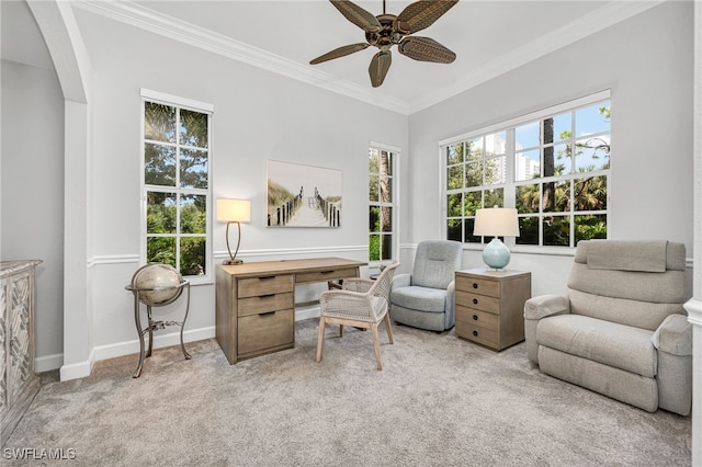 office featuring light carpet, ceiling fan, and crown molding