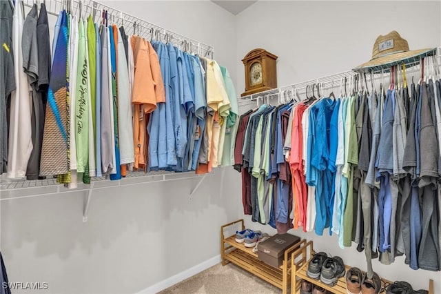 walk in closet featuring carpet floors