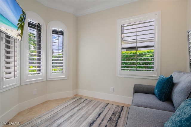 living area with crown molding and a healthy amount of sunlight