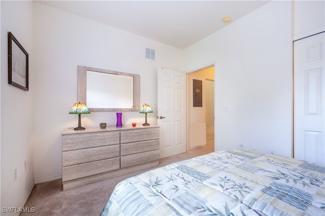 carpeted bedroom featuring electric panel and a closet