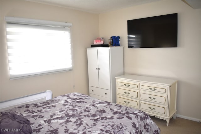 bedroom with carpet flooring