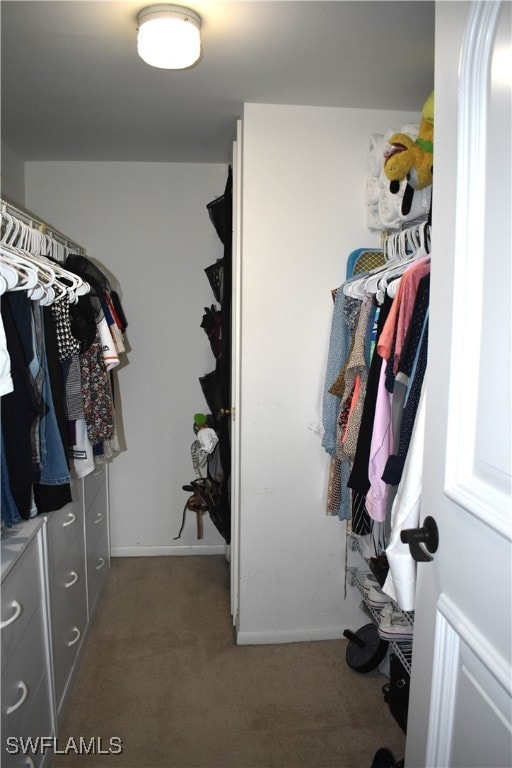 walk in closet featuring dark colored carpet