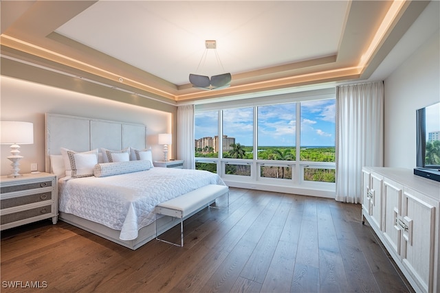 bedroom featuring a raised ceiling and dark wood-type flooring