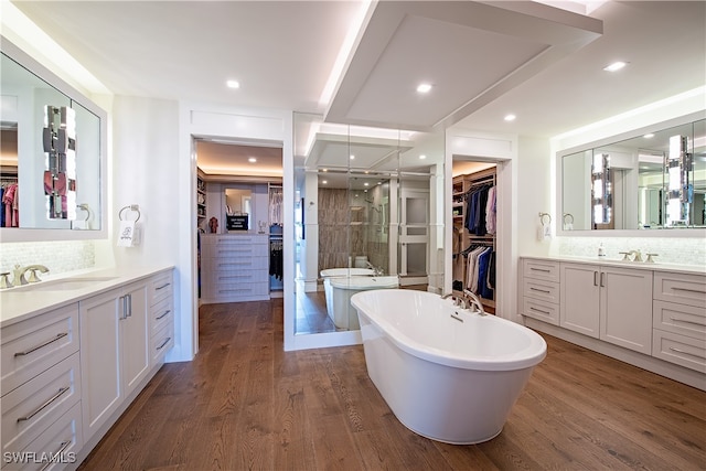 bathroom featuring hardwood / wood-style flooring, vanity, and tasteful backsplash