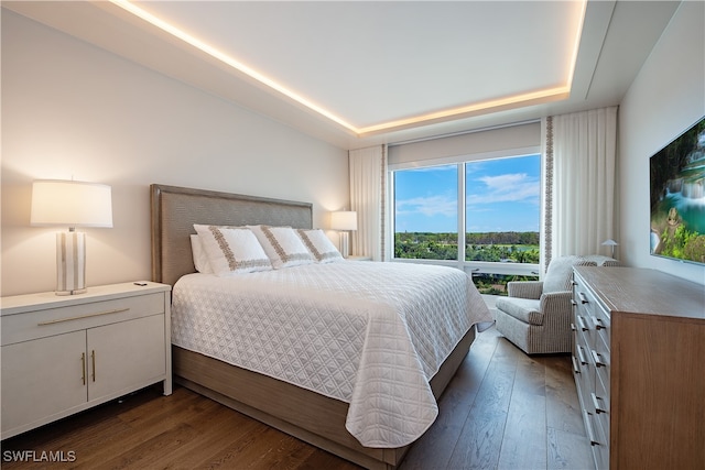 bedroom featuring dark hardwood / wood-style floors and a raised ceiling