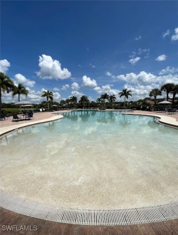 view of swimming pool with a patio area