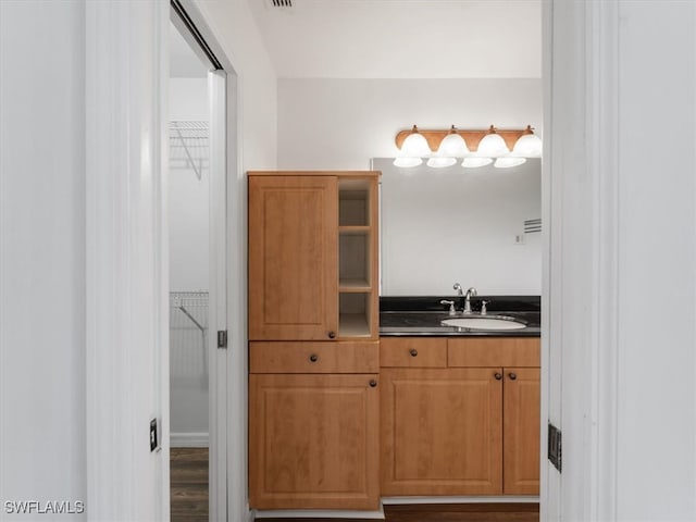 bathroom featuring hardwood / wood-style floors and vanity