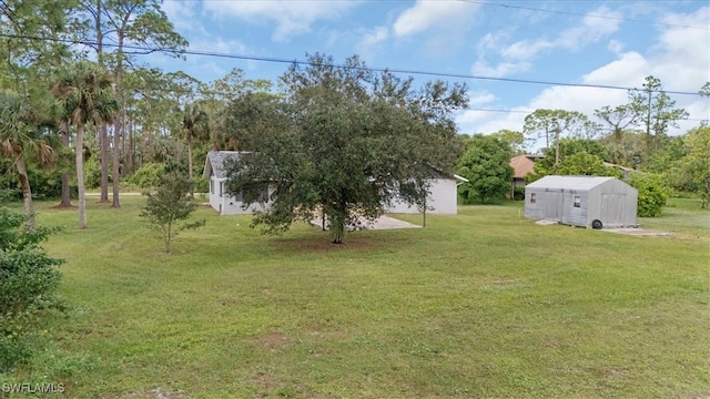 view of yard with a storage unit