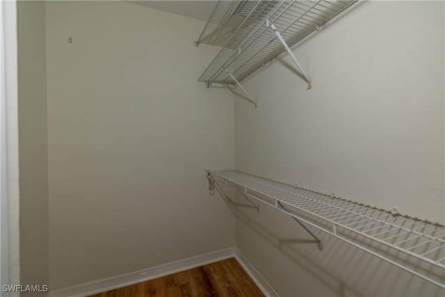 walk in closet with wood-type flooring