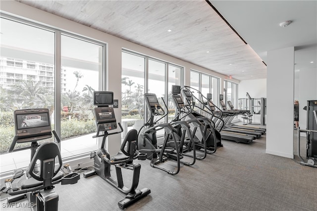 gym featuring carpet