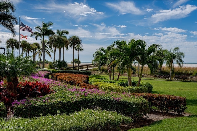 view of property's community with a lawn