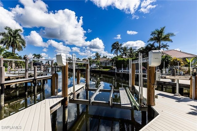 dock area with a water view