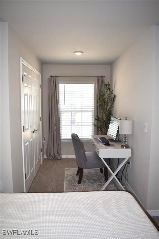 carpeted office with baseboards