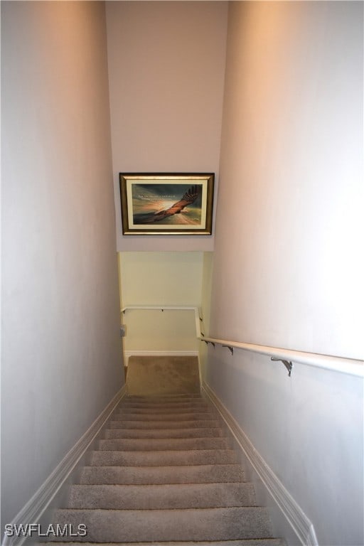 stairway featuring carpet