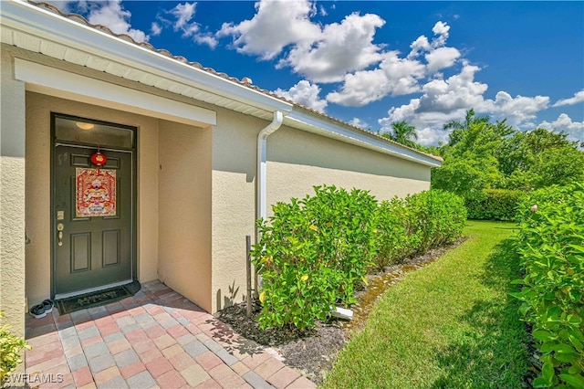 property entrance featuring a yard