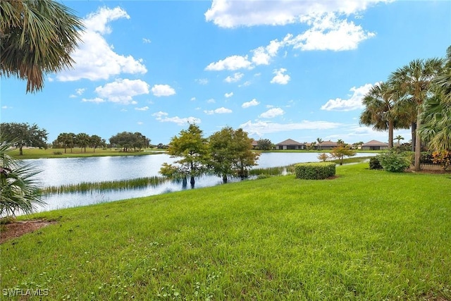 property view of water