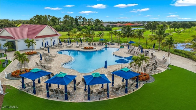 view of swimming pool featuring a patio area and a lawn