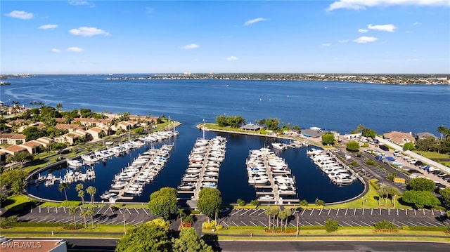 bird's eye view with a water view