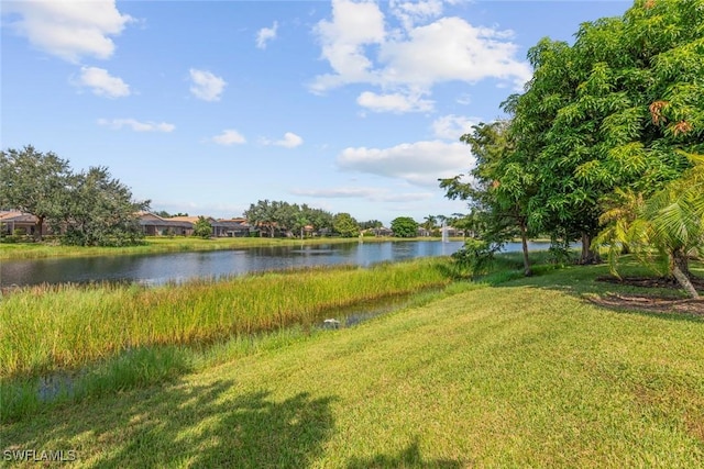 property view of water