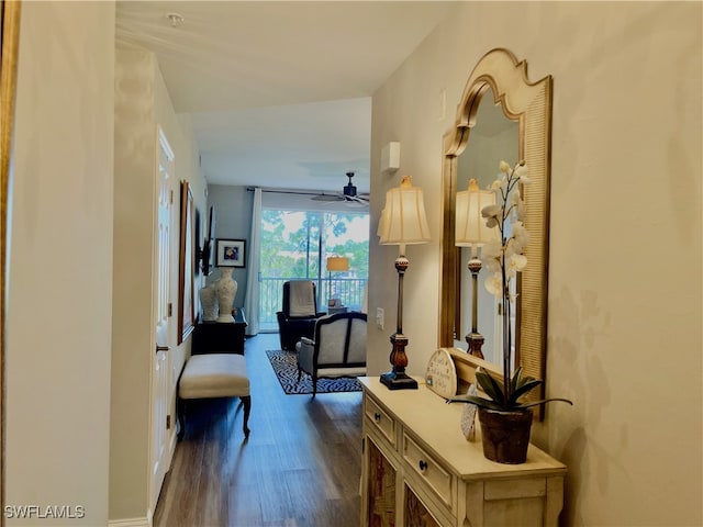 hall featuring dark hardwood / wood-style floors