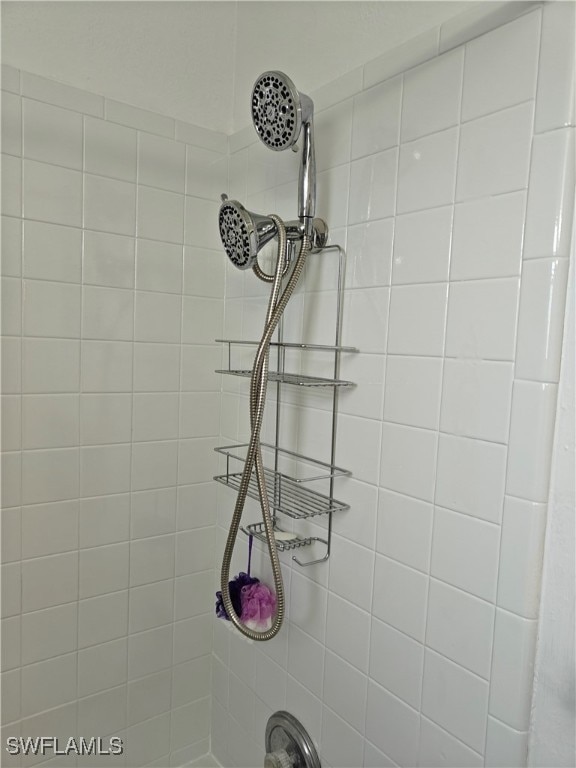 room details with tiled shower