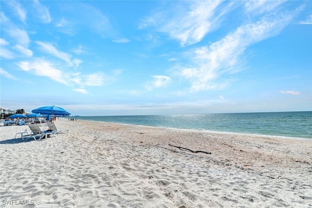 view of water feature featuring a beach view