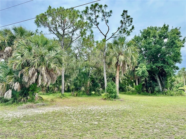 Listing photo 3 for 24239 San Ciprian Rd, Punta Gorda FL 33955