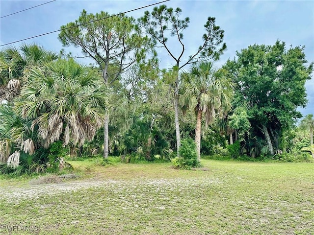 24239 San Ciprian Rd, Punta Gorda, FL 33955