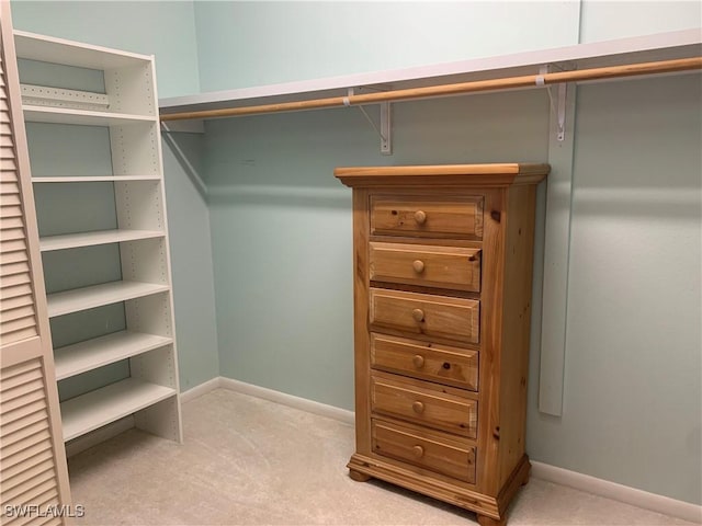 spacious closet featuring light carpet