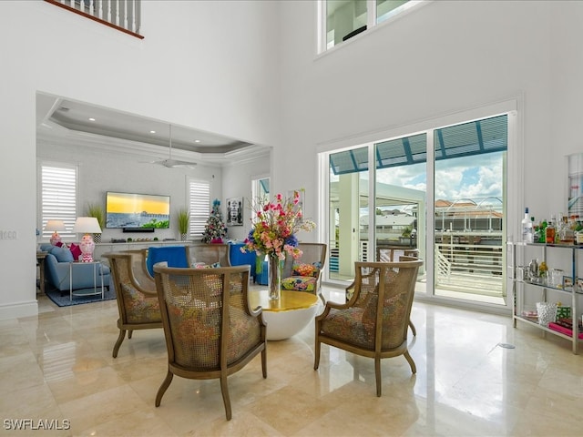 interior space featuring a high ceiling, crown molding, and a raised ceiling