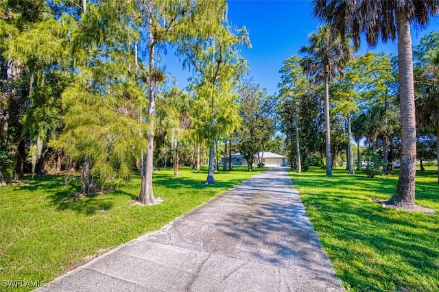 view of community featuring a lawn