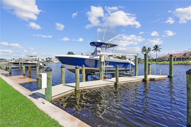 dock area with a water view