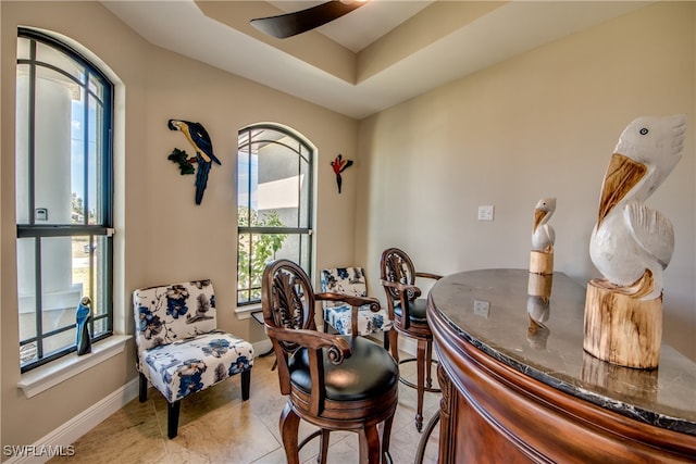 bar featuring a tray ceiling and ceiling fan