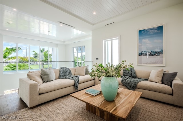 living room with wood-type flooring