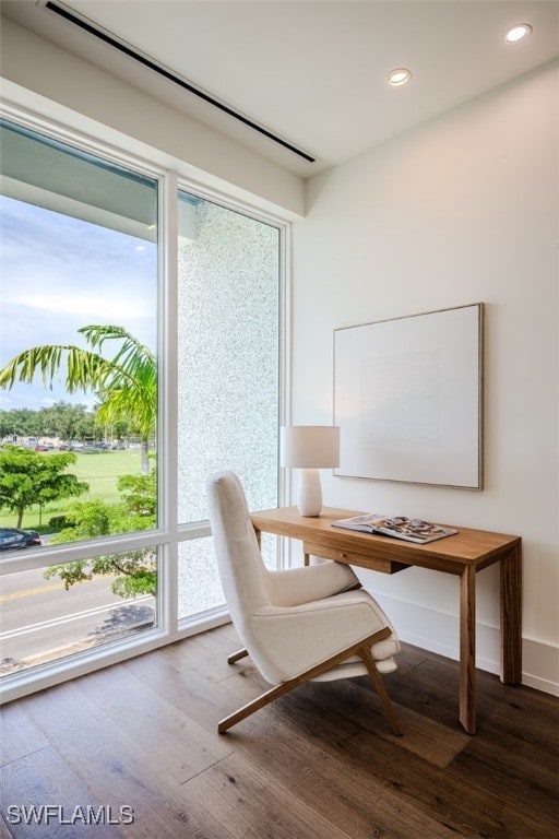 office area featuring hardwood / wood-style flooring and plenty of natural light