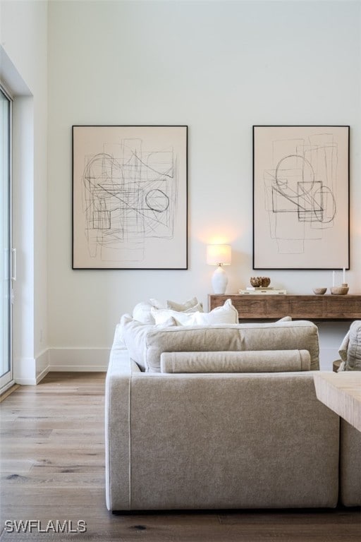 living room featuring hardwood / wood-style flooring