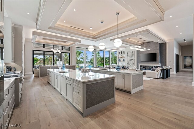 kitchen with pendant lighting, a raised ceiling, sink, light hardwood / wood-style flooring, and a large island