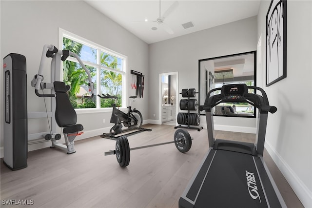 exercise room with ceiling fan and light hardwood / wood-style flooring