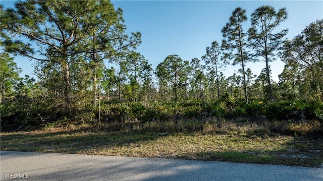 Listing photo 3 for 27373 Senator Dr, Punta Gorda FL 33955