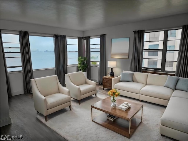 living room featuring wood-type flooring, a water view, and a healthy amount of sunlight