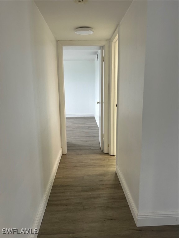 hall featuring dark wood-type flooring