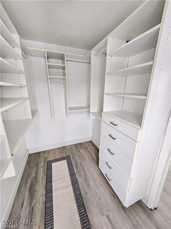 spacious closet with light wood-type flooring