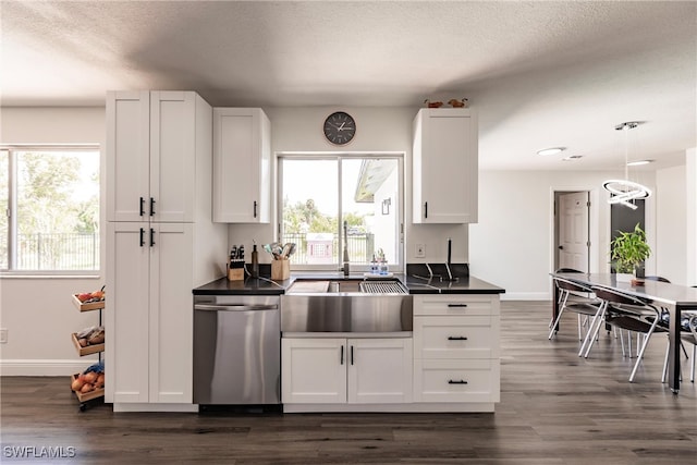 kitchen featuring white cabinets, plenty of natural light, dark wood-type flooring, and stainless steel dishwasher