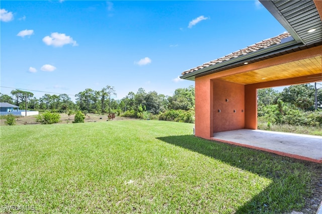 view of yard featuring a patio area