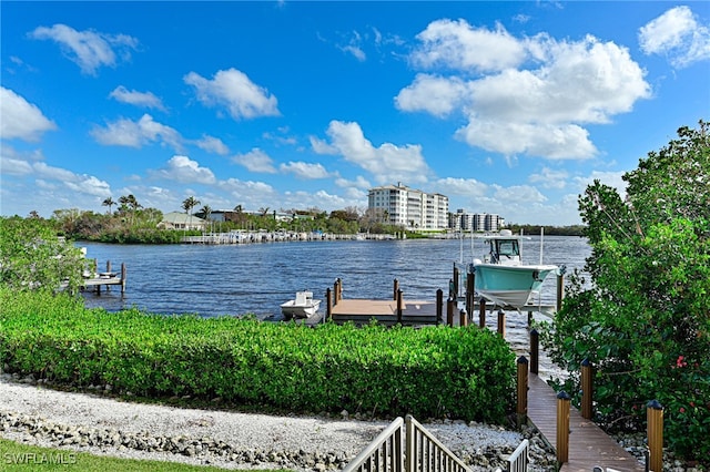 dock area with a water view