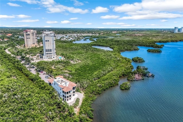 bird's eye view with a water view