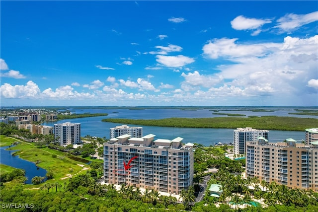 aerial view with a water view