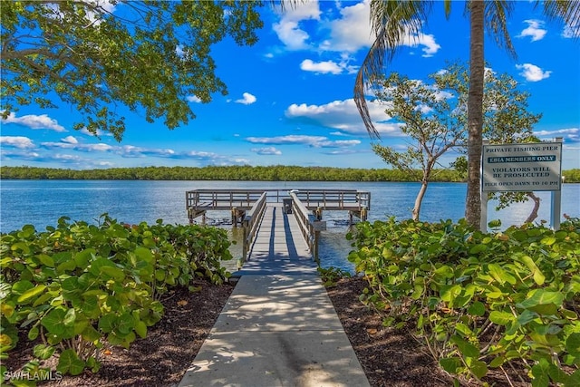 dock area featuring a water view